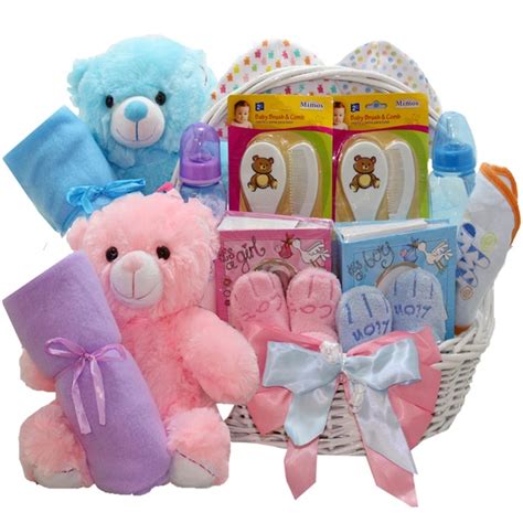 Shop Double The Fun Twin Babies Gift Basket - Free Shipping Today ...