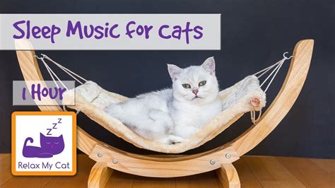 Sleeping Music for Cats, Help Cats Sleep with Soothing Music, Hammock Music, Nap Music for Cats ...