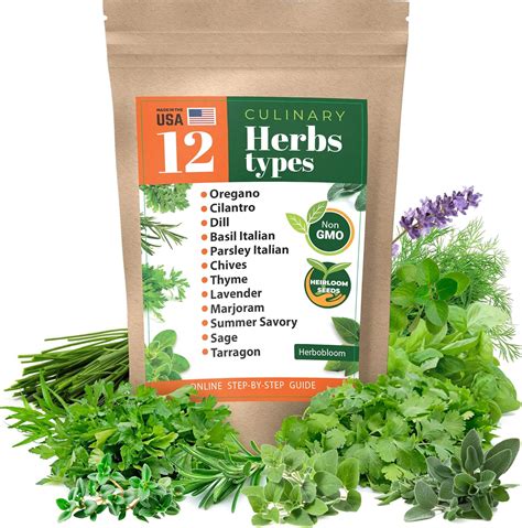 Amazon.com : Herb Garden Seeds Collection - 12 Culinary Herb Seeds Pack ...