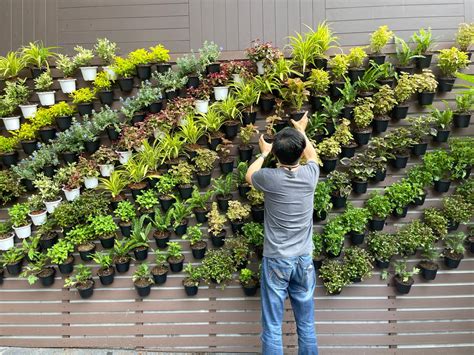 Beginner's Guide: Creating Stunning DIY Vertical Gardens