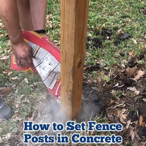 How to Set Wooden Fence Posts in Concrete - Install Your Own Wood Fence! - YouTube [Video ...