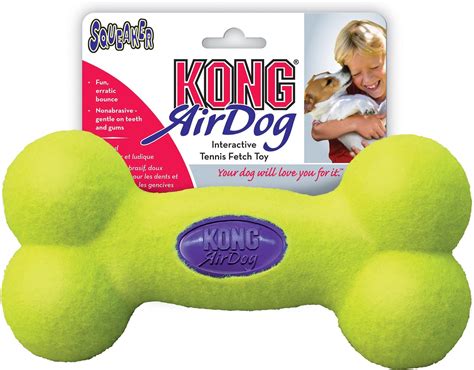 KONG AirDog Bone Dog Toy, Large - Chewy.com