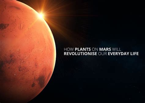 How Plants on Mars will Revolutionise Our Everyday Life