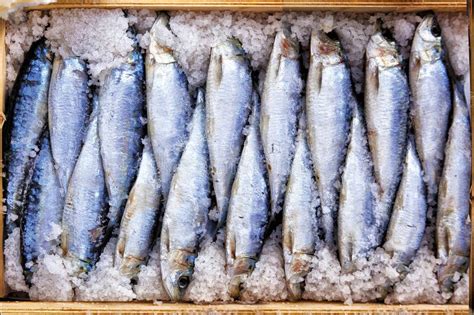 Salted Herring for Sale at the Fish Market Stock Photo - Image of ingredient, market: 107000374