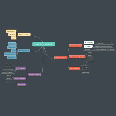 Branches of Science Mind Map Poster