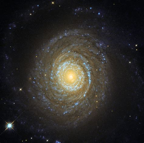 Hubble Image of the Week - Spiral Galaxy NGC 6753