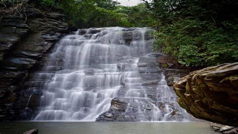 Exploring Kanger Ghati National Park - Chhattisgarh (2021)