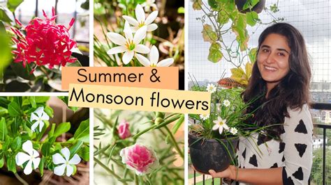 5 Unique Flowering Plants for Indian Summers and Monsoons to Buy ...