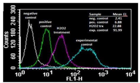 Reactive Oxygen Species (ROS) Detection Assay Kit (ab287839/K936-250) | Abcam