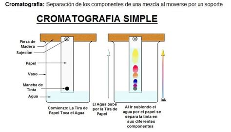 Cromatografía: definición y ejemplos prácticos