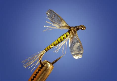 January is Midge Month - Fly Fish Food -- Fly Tying and Fly Fishing