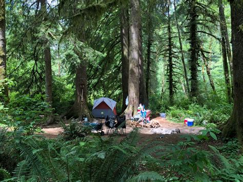 14+ Spots for Free Camping in Oregon and How to Find More Camping Area, Camping Guide, Camping ...