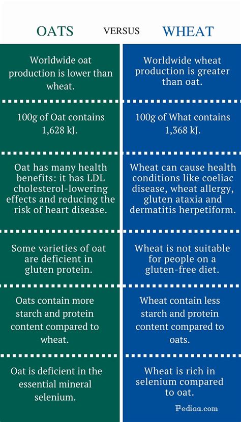 Difference Between Oats and Wheat