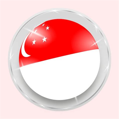 Banderas de países asiáticos países y asia 3d ball | Vector Premium