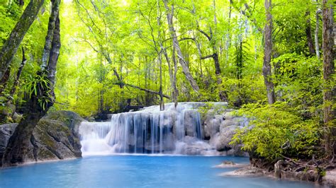 Trees, waterfalls, forest, river, summer Wallpaper | 1920x1080 Full HD resolution wallpaper ...