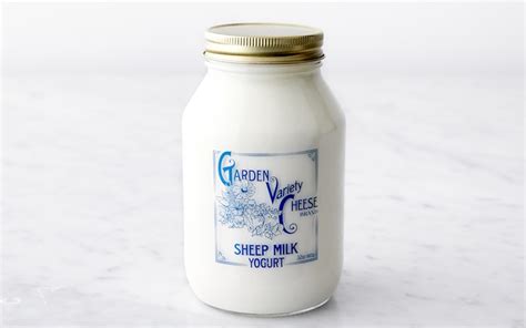 Sheep's Milk Yogurt Quart - Garden Variety Cheese - SF Bay | Good Eggs