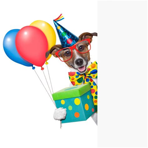 Party Dog Clipart Pictures