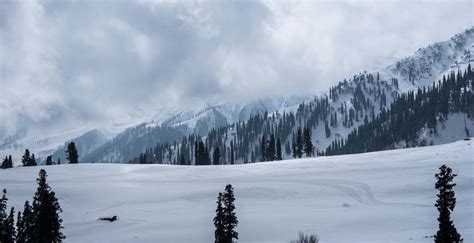 We have 5 feet of snow at heli base in Gulmarg - Kashmir Heliski