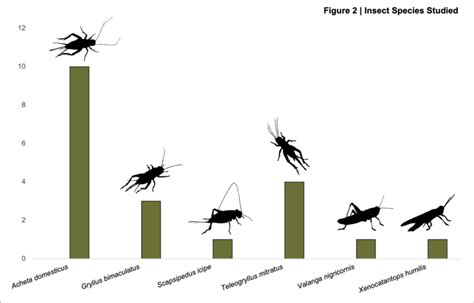 | Frequency of Orthoptera species across studies. | Download Scientific ...