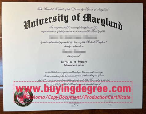 Some Reasons to Buy a UMD Degree