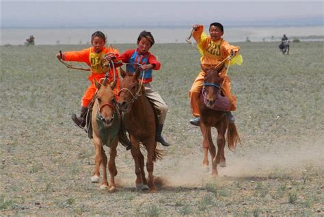 Mongolian Horse Info, Origin, History, Pictures | Horse Breeds Information & Pictures