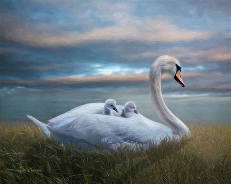 16x20 Swan and Cygnets Painting - Heart and Soul Art - Paintings & Prints, Animals, Birds ...