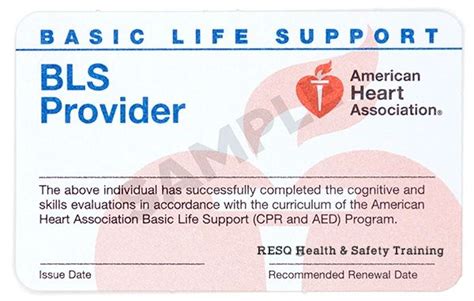 Who Needs the AHA BLS Certification?