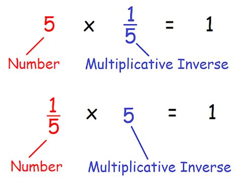 Multiplicative Inverse: Definition, Properties and Examples