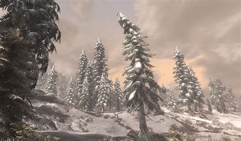 Skyrim: Grass, Trees & Flora Mods (All Free) – FandomSpot