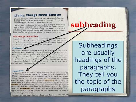 Subheading là gì? Tầm quan trọng của Subheading trong SEO 2022 - OECC