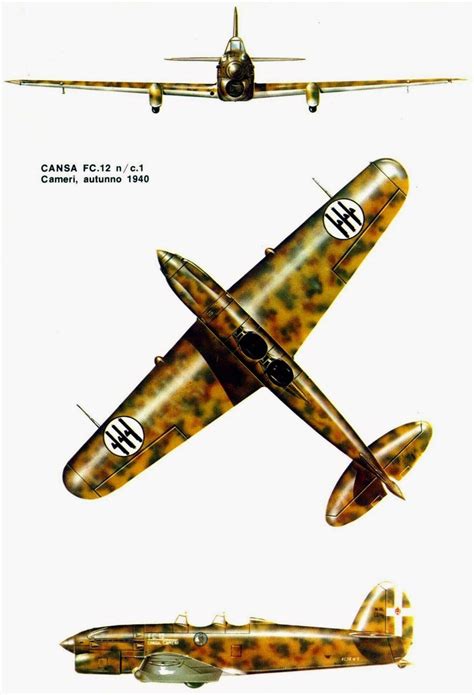 Italian Aircraft of WWII: Attack | Wwii fighter planes, Wwii aircraft ...