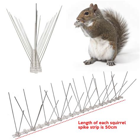 * Squirrel Spikes - Buy Online & Save | Sale Now On