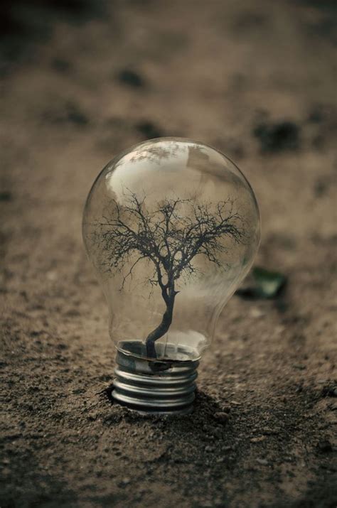 New Bulb have Flourished | Surrealism photography, Conceptual photography, Creative photography