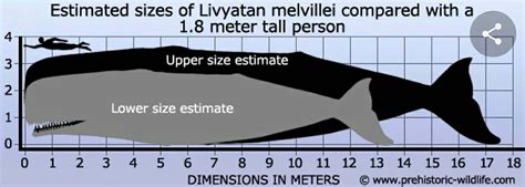 Estimated size