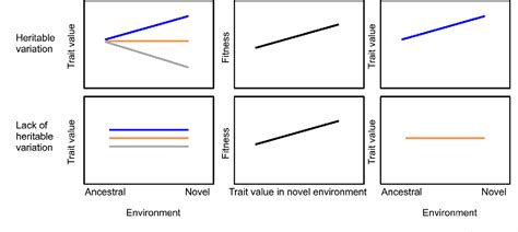 Figure 1 from The interplay between plasticity and evolution in response to human-induced ...