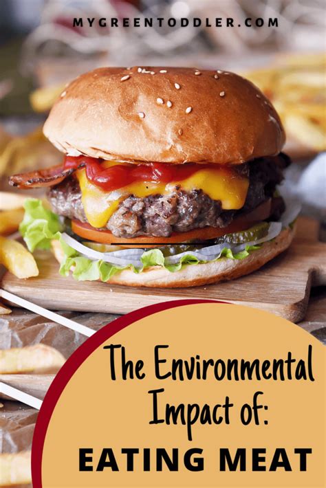 The Environmental Impact of Meat Production (It's big!)