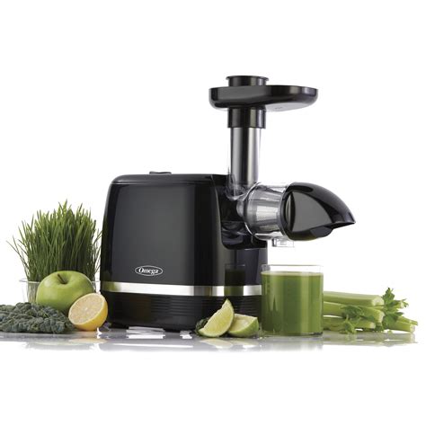 Omega Juicer H3000R Cold Press 365 Slow Masticating Juice Extractor ...