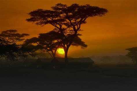 Serengeti Sunrise Serengeti Photo East Africa Pic | Etsy