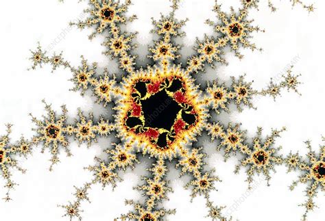 Julia set fractal - Stock Image - A925/0266 - Science Photo Library