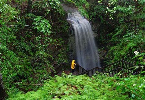 The 11 Most Incredible Natural Attractions In FloridaThat Everyone Should Visit