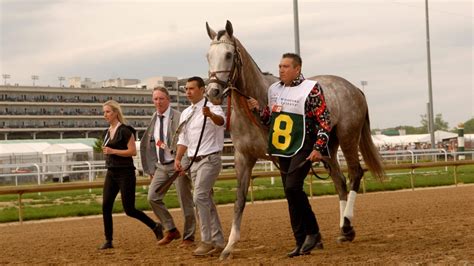 What Is the Triple Crown and How Many Horses Have Won It? – NBC4 Washington