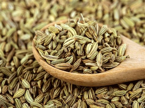 Fennel Seeds for Weight Loss, Bad Odour and More