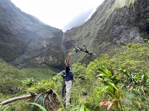 Drone-flown robotic arm revolutionizes Kauai's rare flora protection