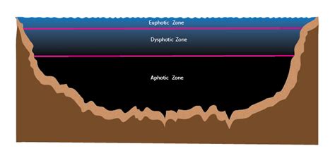 Ocean Zones