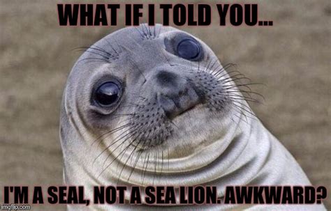 Awkward Moment Sealion Meme - Imgflip