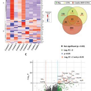 Transcriptomic-level changes across BSp, GTPs and combination (BSp ...