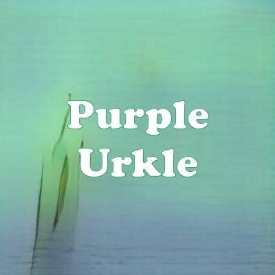 Purple Urkle Strain, Weed Strain, Cannabis Info 2021 | Strain Review