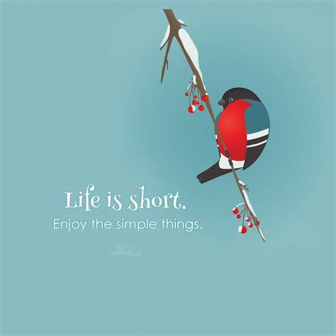 Life is Short Desktop Wallpaper - Free Animals Backgrounds