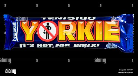 Yorkie bar girls hi-res stock photography and images - Alamy