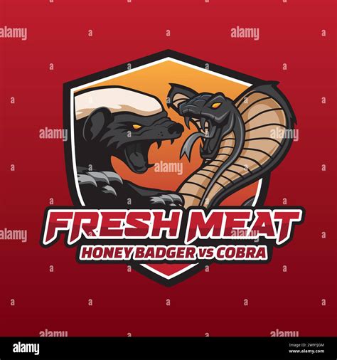 Honey Badger Vs Cobra Illustration Design Stock Vector Image & Art - Alamy